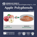 Hot sale Organic apple polyphenol